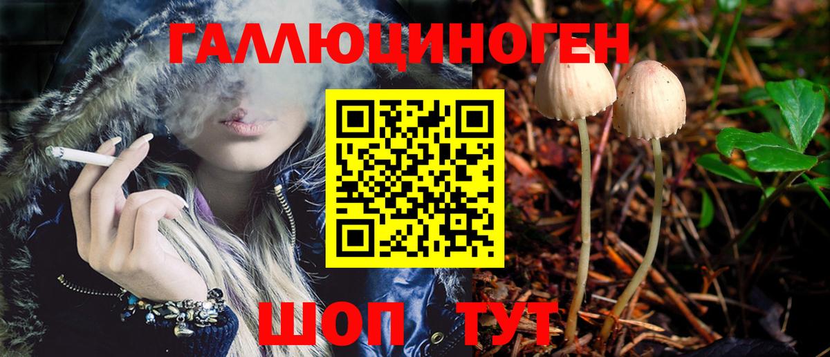 Россия  Псилоцибиновые грибы мухоморы  Вход с VPN 