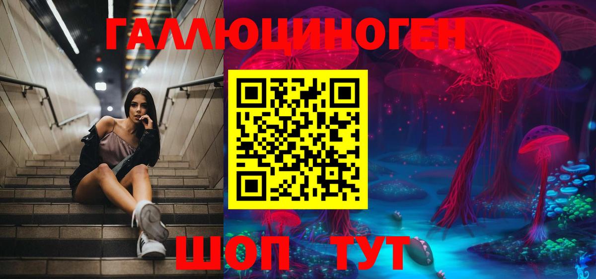 Псилоцибиновые грибы ЛСД Россия