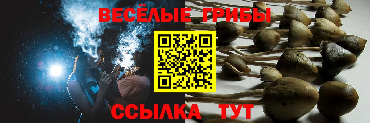 МЕФ   Гашиш  Вход с VPN  Бошки Шишки  Россия  ГАШ 